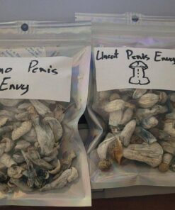 Penis Envy Dried Mushrooms available for sale in stock at affordable prices, buy premium psychedelic shrooms in bulk at best discount rates