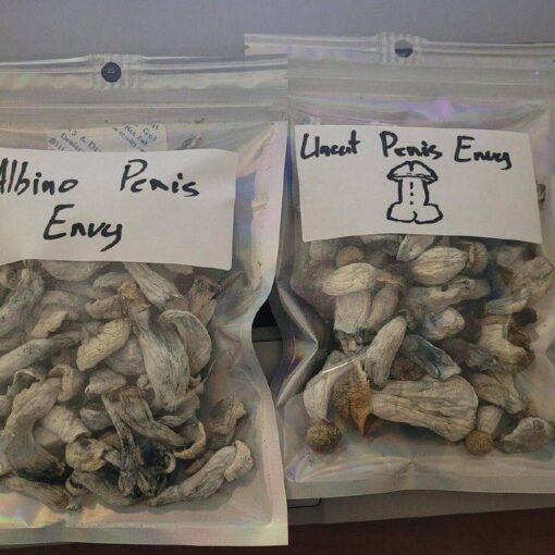Penis Envy Dried Mushrooms available for sale in stock at affordable prices, buy premium psychedelic shrooms in bulk at best discount rates