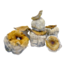 Pumpkin Cubensis Dried Mushrooms available for sale in stock at affordable prices, buy premium psychedelic shrooms at best discount prices
