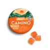 Experience recovery the natural way with Camino Freshly Squeezed 'Recover' Gummies—infused with 5mg THC and 10mg CBG for calm, balance, and post-activity relief.