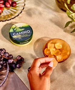 Discover Camino Sparkling Pear 'Social' Gummies with 2mg THC and 6mg CBD. Enjoy light, balanced effects for socializing and daytime ease.