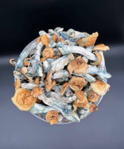 Shop Blue Meanie Magic Mushrooms at OfficialCannabisMuse. 🍄 Potent, fast-acting, and discreetly shipped to the USA, Canada, and select Europe