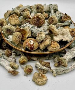 CANNABIS SHROOMS